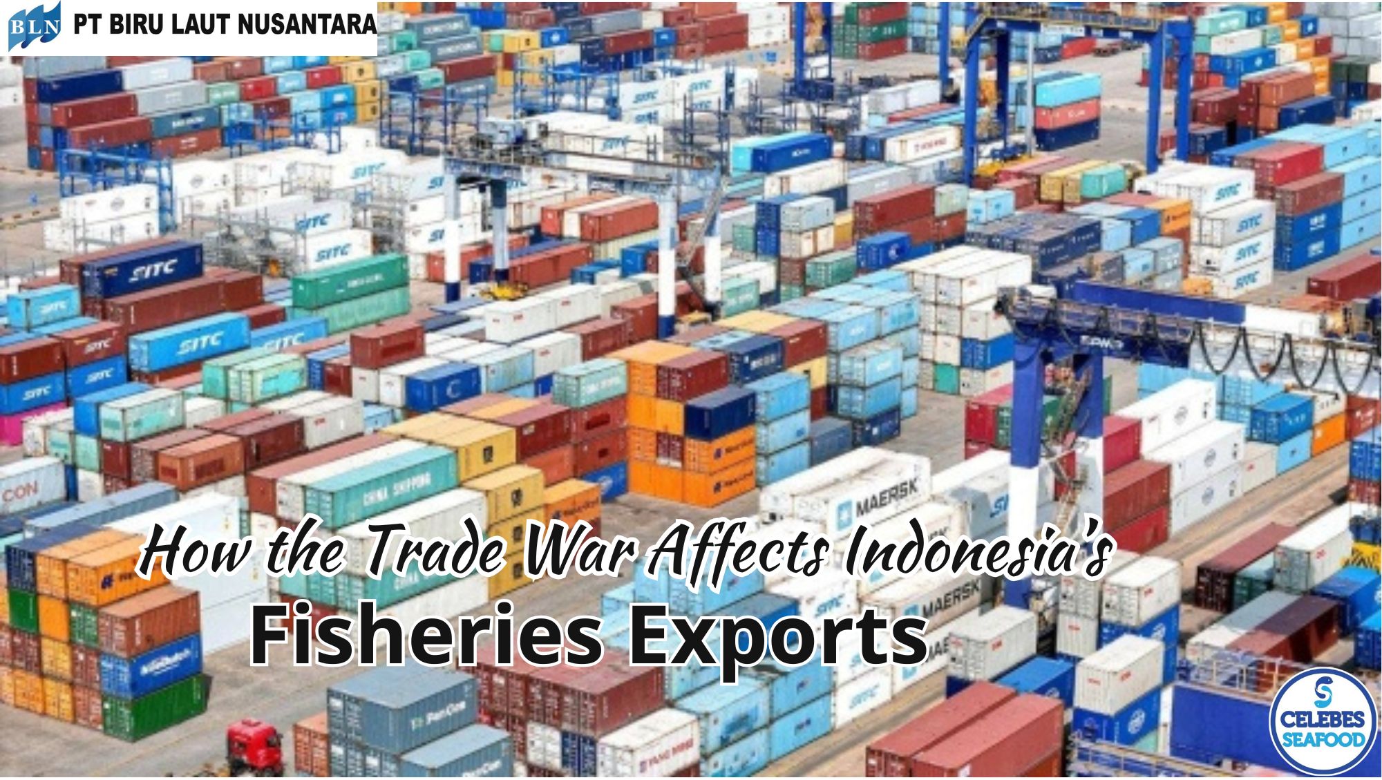 How the Trade War Affects Indonesia’s Fisheries Exports